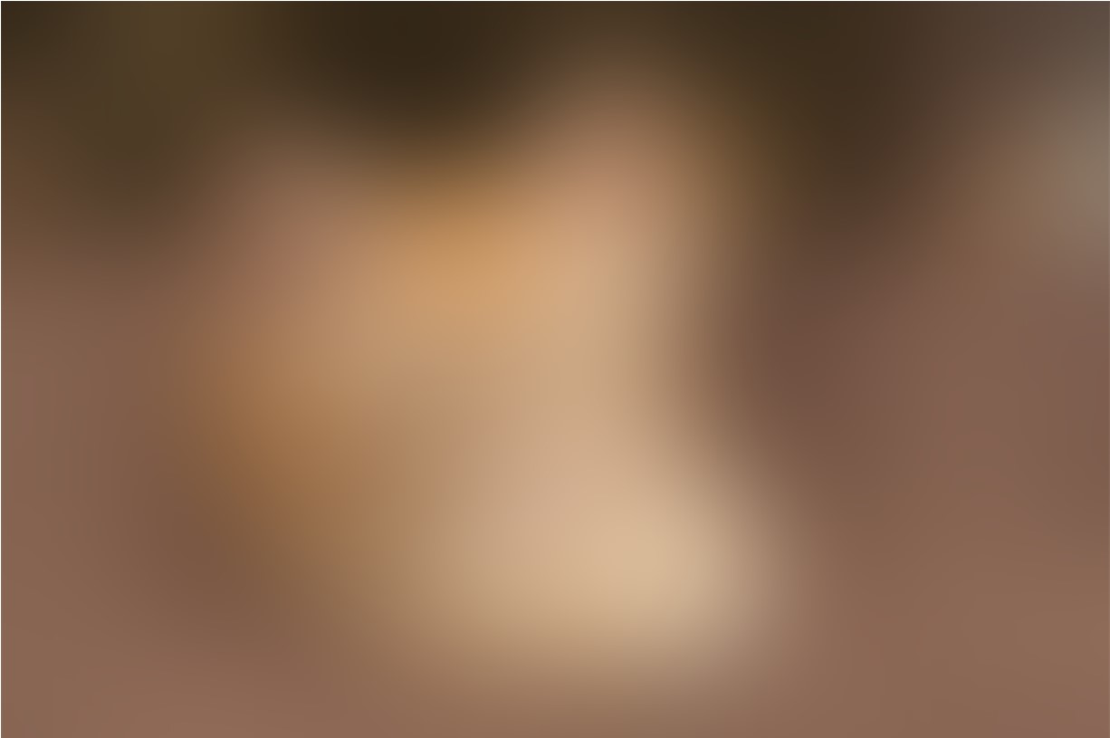 Python Pillow Image Blur Effect with ImageFilter CodersLegacy